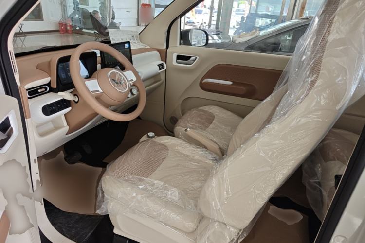 Used Wuling Hongguang MINIEV 2024 3rd Generation 215km Youth Edition Left Front Seat