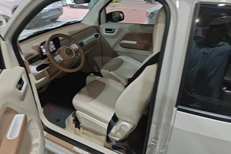 Used Wuling Hongguang MINIEV 2024 3rd Generation 215km Youth Edition Left Front Seat