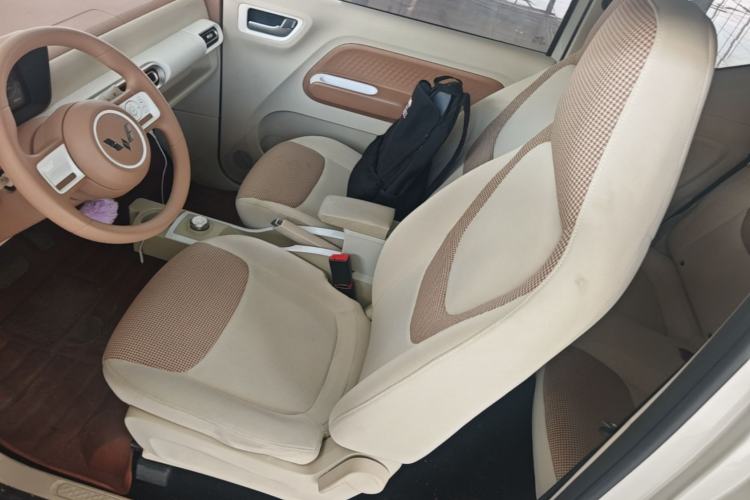 Used Wuling Hongguang MINIEV 2024 3rd Generation 215km Youth Edition Left Front Seat
