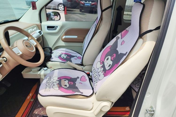 Used Wuling Hongguang MINIEV 2024 3rd Generation 215km Youth Edition Left Front Seat