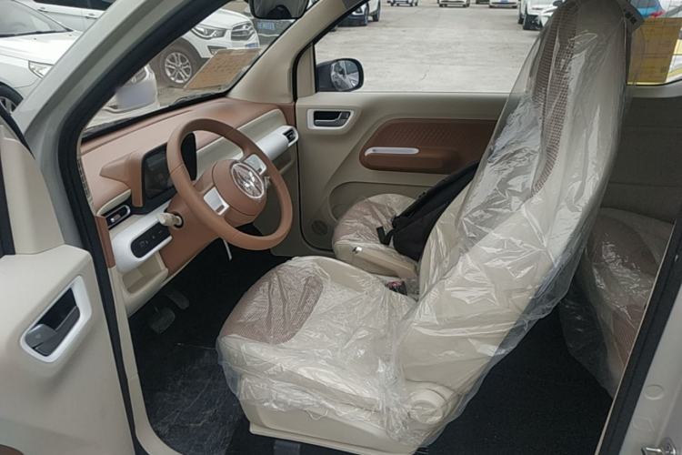 Used Wuling Hongguang MINIEV 2024 3rd Generation 215km Youth Edition Left Front Seat