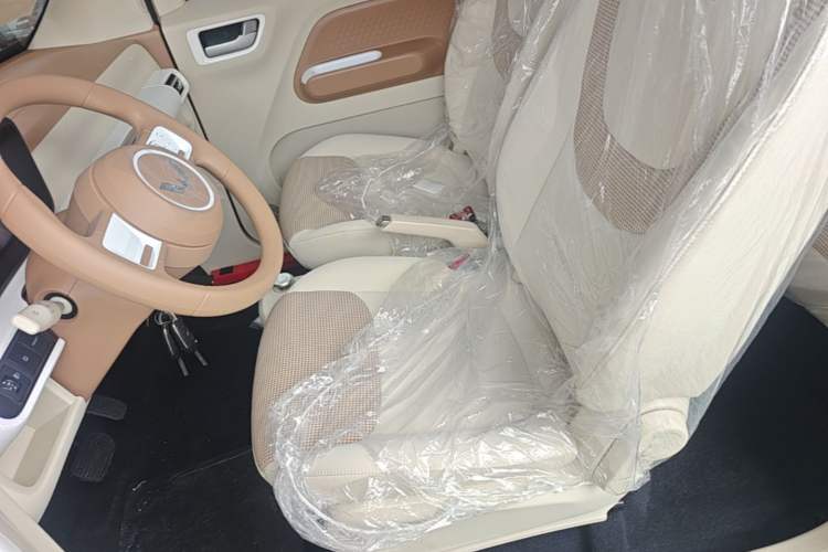 Used Wuling Hongguang MINIEV 2024 3rd Generation 215km Youth Edition Left Front Seat