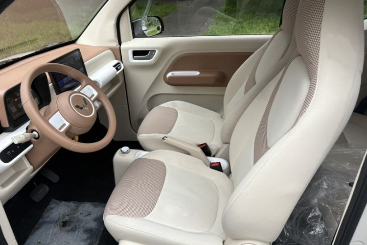 Used Wuling Hongguang MINIEV 2024 3rd Generation 215km Youth Edition Left Front Seat