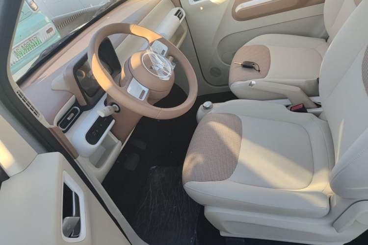 Used Wuling Hongguang MINIEV 2024 3rd Generation 215km Youth Edition Left Front Seat
