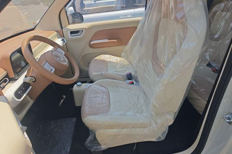 Used Wuling Hongguang MINIEV 2024 3rd Generation 215km Youth Edition Left Front Seat