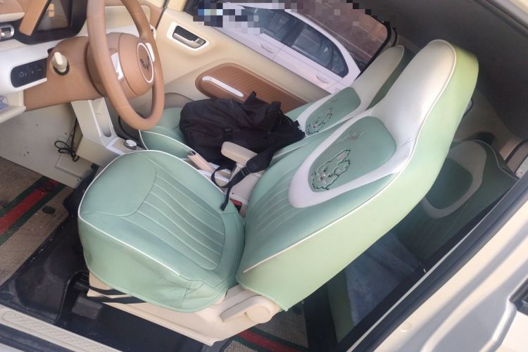 Used Wuling Hongguang MINIEV 2024 3rd Generation 215km Youth Edition Left Front Seat