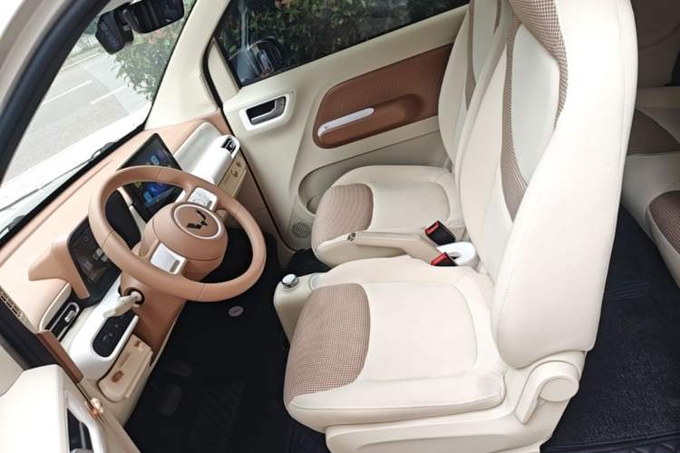 Used Wuling Hongguang MINIEV 2024 3rd Generation 215km Youth Edition Left Front Seat