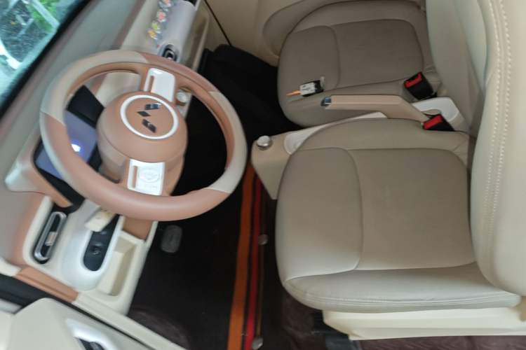 Used Wuling Hongguang MINIEV 2024 3rd Generation 215km Youth Edition Left Front Seat