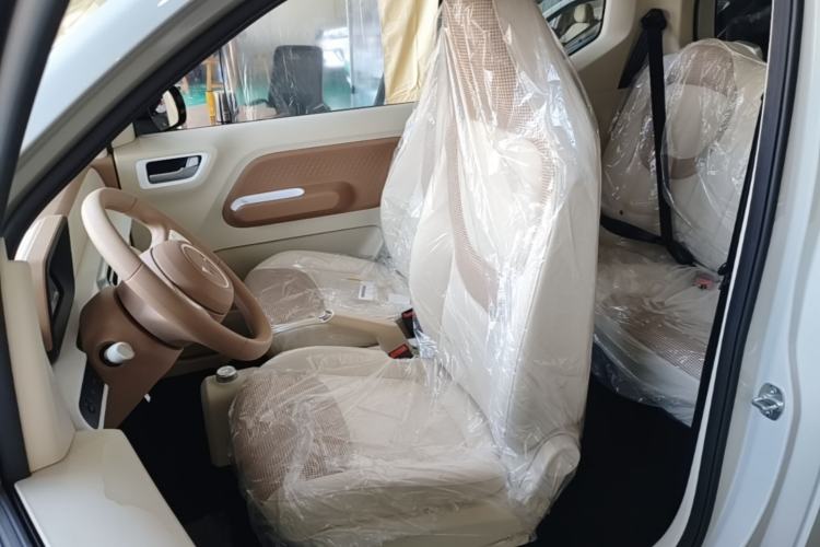 Used Wuling Hongguang MINIEV 2024 3rd Generation 215km Youth Edition Left Front Seat
