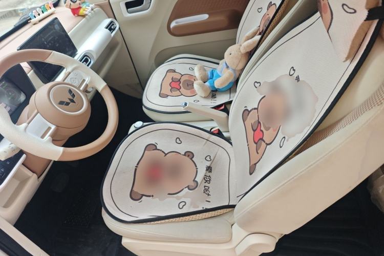 Used Wuling Hongguang MINIEV 2024 3rd Generation 215km Youth Edition Left Front Seat