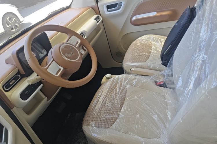 Used Wuling Hongguang MINIEV 2024 3rd Generation 215km Youth Edition Left Front Seat