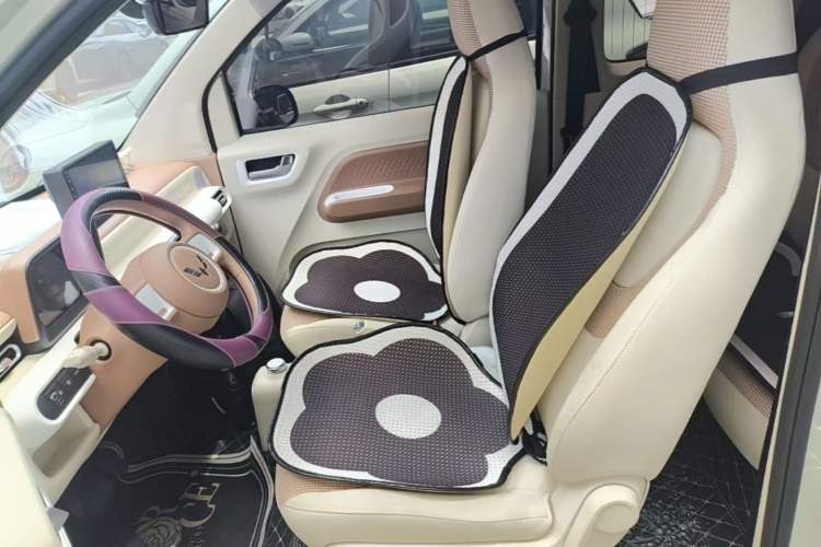 Used Wuling Hongguang MINIEV 2024 3rd Generation 215km Youth Edition Left Front Seat