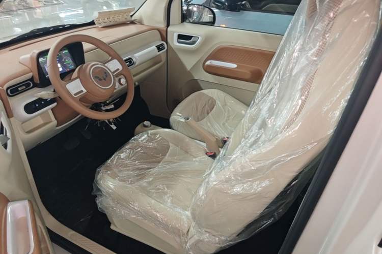Used Wuling Hongguang MINIEV 2024 3rd Generation 215km Youth Edition Left Front Seat