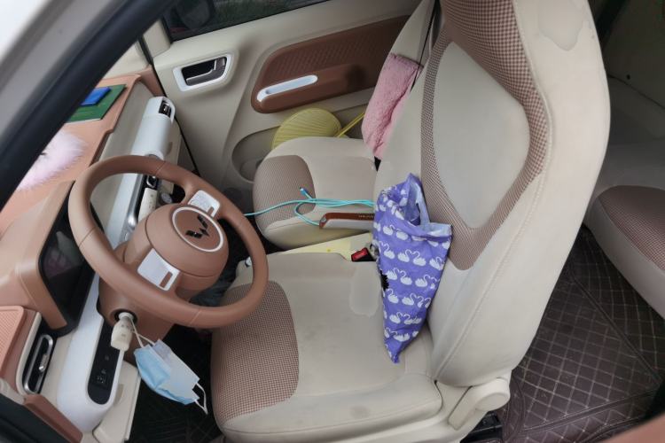 Used Wuling Hongguang MINIEV 2024 3rd Generation 215km Youth Edition Left Front Seat