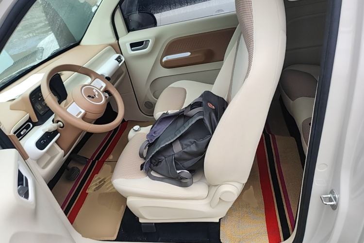 Used Wuling Hongguang MINIEV 2024 3rd Generation 215km Youth Edition Left Front Seat