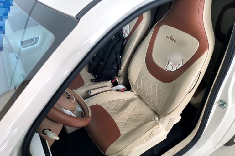 Used Wuling Hongguang MINIEV 2024 3rd Generation 215km Youth Edition Left Front Seat