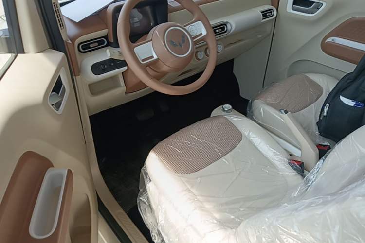 Used Wuling Hongguang MINIEV 2024 3rd Generation 215km Youth Edition Left Front Seat