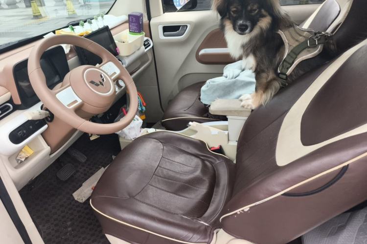 Used Wuling Hongguang MINIEV 2024 3rd Generation 215km Youth Edition Left Front Seat