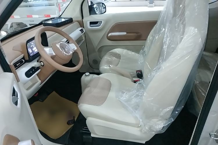 Used Wuling Hongguang MINIEV 2024 3rd Generation 215km Youth Edition Left Front Seat