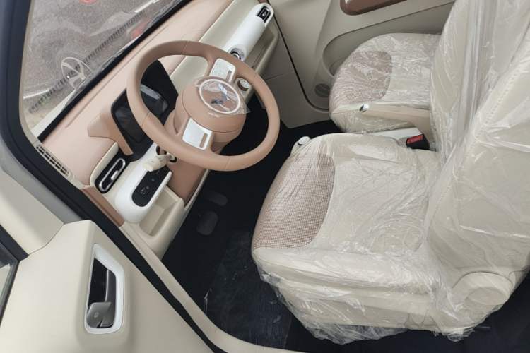 Used Wuling Hongguang MINIEV 2024 3rd Generation 215km Youth Edition Left Front Seat