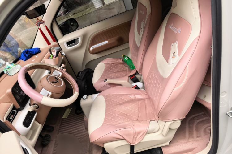 Used Wuling Hongguang MINIEV 2024 3rd Generation 215km Youth Edition Left Front Seat