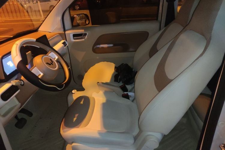 Used Wuling Hongguang MINIEV 2024 3rd Generation 215km Youth Edition Left Front Seat