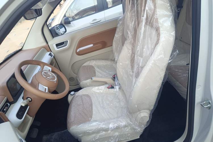 Used Wuling Hongguang MINIEV 2024 3rd Generation 215km Youth Edition Left Front Seat