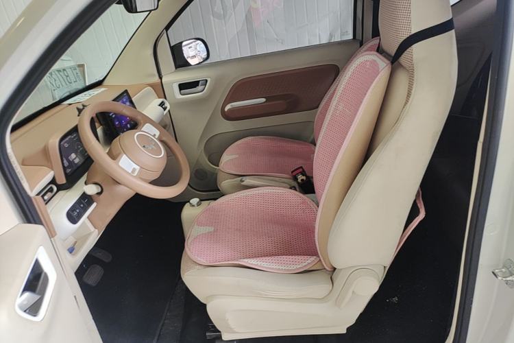 Used Wuling Hongguang MINIEV 2024 3rd Generation 215km Youth Edition Left Front Seat