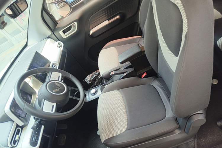 Used Wuling Hongguang MINIEV 2024 3rd Generation 215km Youth Edition Left Front Seat