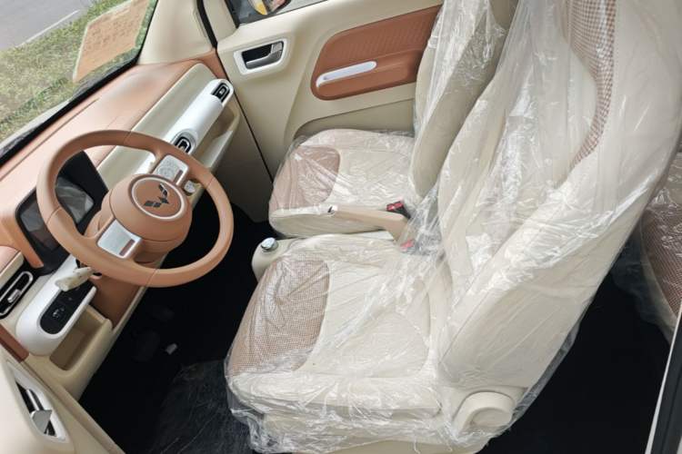 Used Wuling Hongguang MINIEV 2024 3rd Generation 215km Youth Edition Left Front Seat