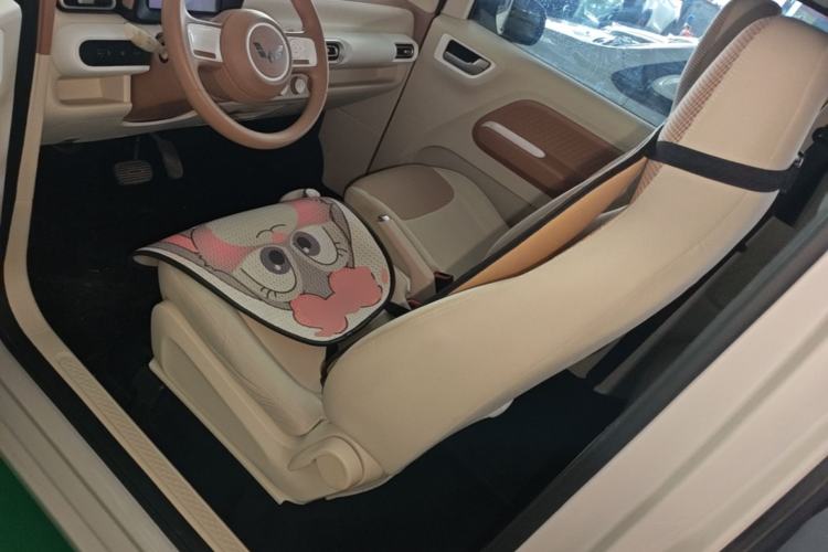 Used Wuling Hongguang MINIEV 2024 3rd Generation 215km Youth Edition Left Front Seat