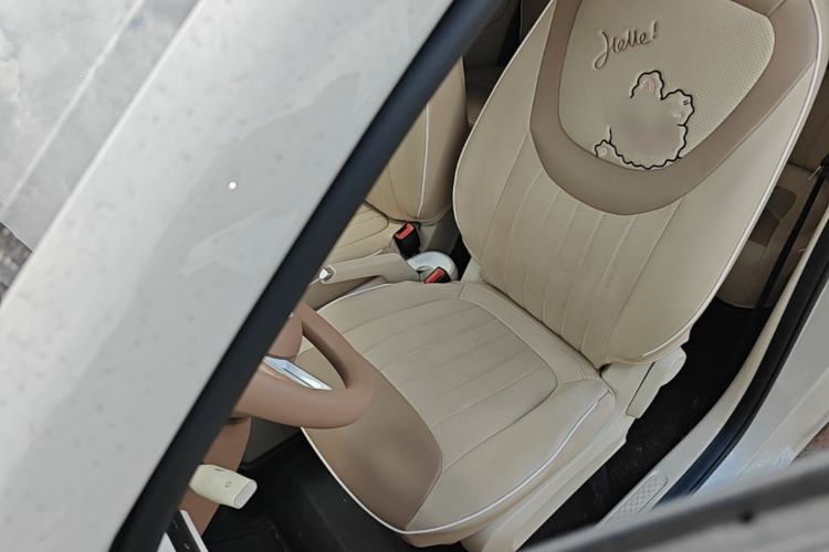 Used Wuling Hongguang MINIEV 2024 3rd Generation 215km Youth Edition Left Front Seat