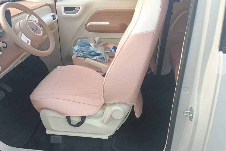 Used Wuling Hongguang MINIEV 2024 3rd Generation 215km Youth Edition Left Front Seat
