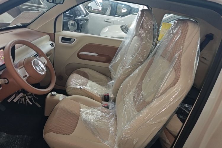 Used Wuling Hongguang MINIEV 2024 3rd Generation 215km Youth Edition Left Front Seat
