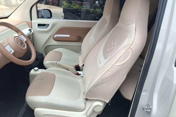 Used Wuling Hongguang MINIEV 2024 3rd Generation 215km Youth Edition Left Front Seat