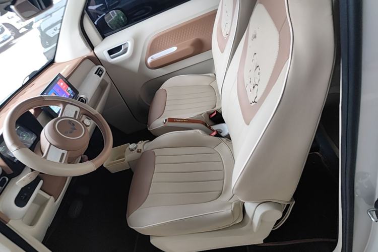 Used Wuling Hongguang MINIEV 2024 3rd Generation 215km Youth Edition Left Front Seat