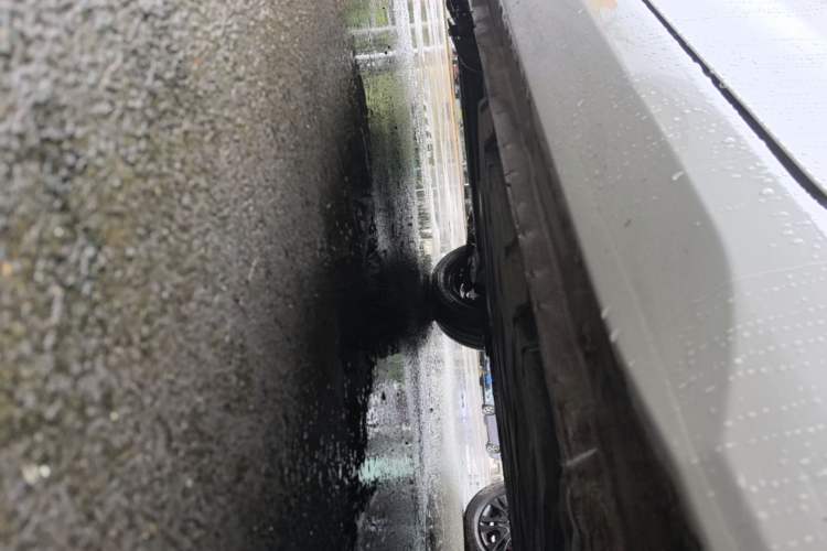 Used Wuling Hongguang MINIEV 2024 3rd Generation 215km Youth Edition Left Side Sill