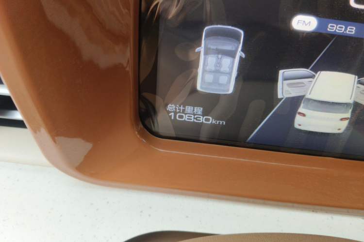 Used Wuling Hongguang MINIEV 2024 3rd Generation 215km Youth Edition Odometer Close Up