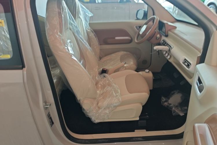 Used Wuling Hongguang MINIEV 2024 3rd Generation 215km Youth Edition Right Front Seat