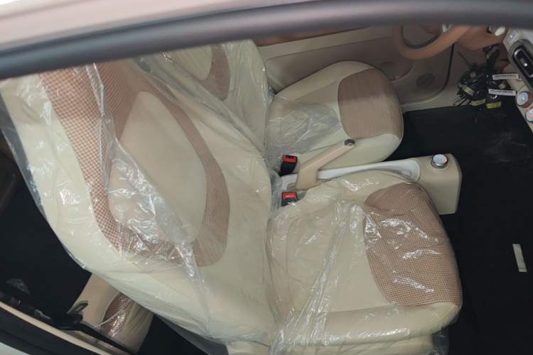 Used Wuling Hongguang MINIEV 2024 3rd Generation 215km Youth Edition Right Front Seat