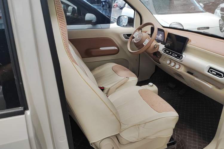 Used Wuling Hongguang MINIEV 2024 3rd Generation 215km Youth Edition Right Front Seat
