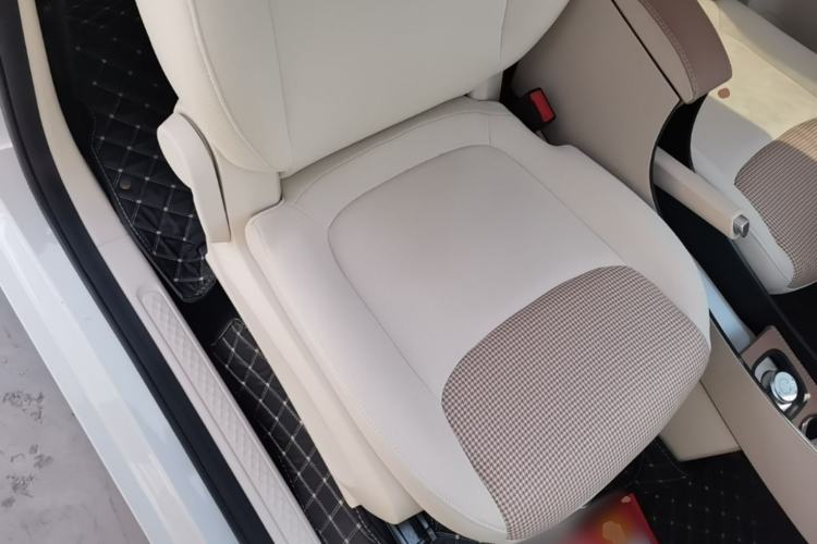 Used Wuling Hongguang MINIEV 2024 3rd Generation 215km Youth Edition Right Front Seat