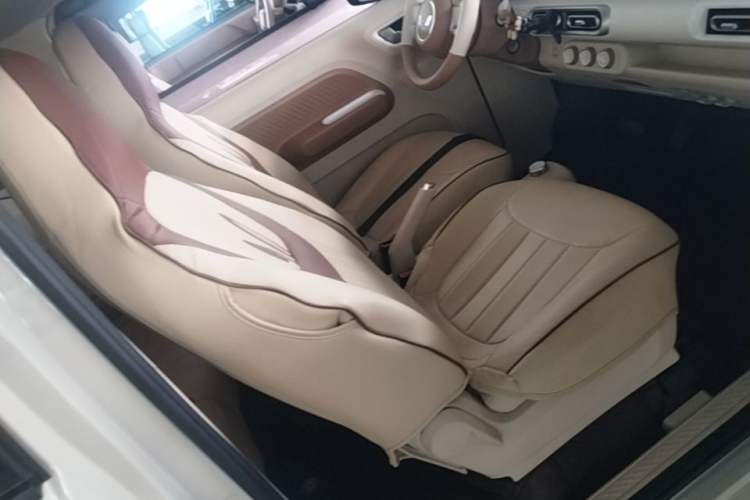 Used Wuling Hongguang MINIEV 2024 3rd Generation 215km Youth Edition Right Front Seat