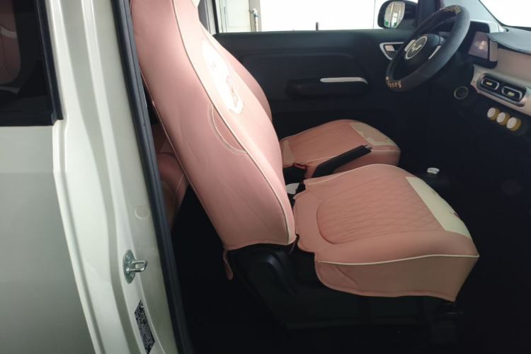 Used Wuling Hongguang MINIEV 2024 3rd Generation 215km Youth Edition Right Front Seat