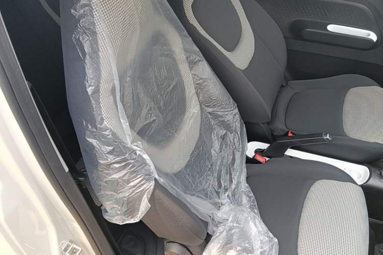 Used Wuling Hongguang MINIEV 2024 3rd Generation 215km Youth Edition Right Front Seat