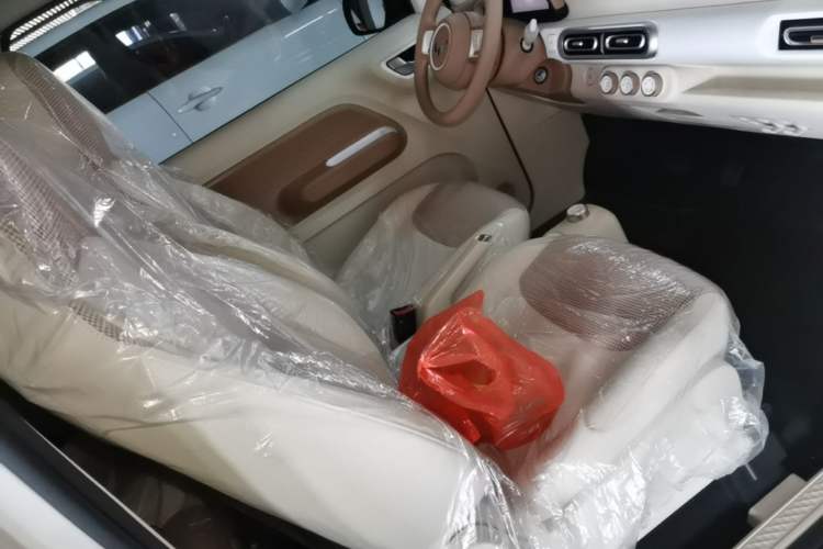 Used Wuling Hongguang MINIEV 2024 3rd Generation 215km Youth Edition Right Front Seat