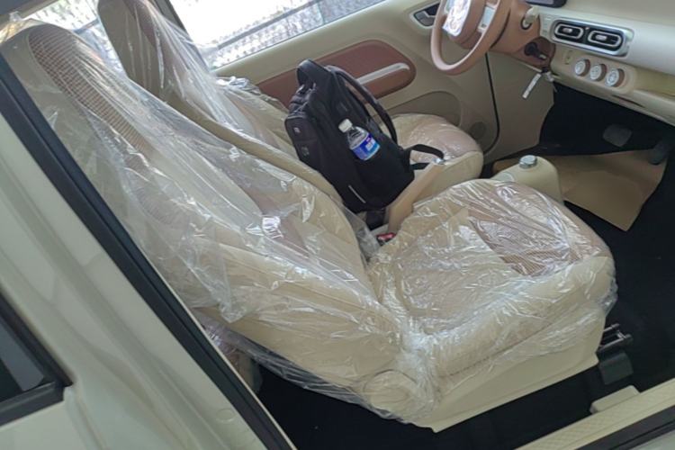 Used Wuling Hongguang MINIEV 2024 3rd Generation 215km Youth Edition Right Front Seat