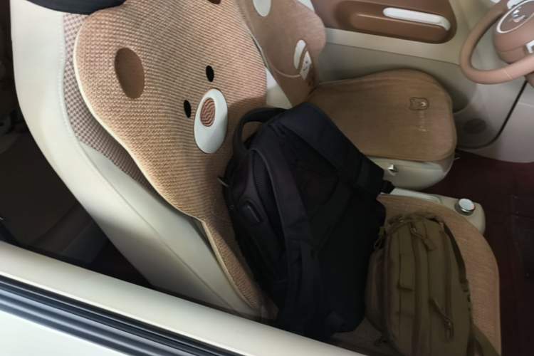 Used Wuling Hongguang MINIEV 2024 3rd Generation 215km Youth Edition Right Front Seat
