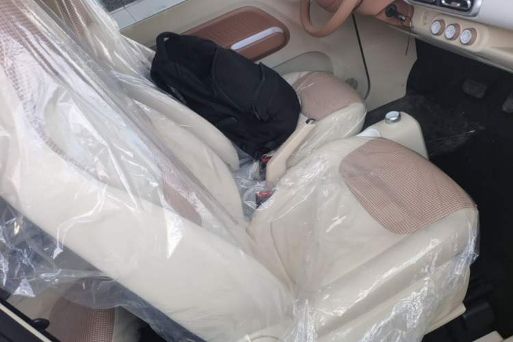 Used Wuling Hongguang MINIEV 2024 3rd Generation 215km Youth Edition Right Front Seat