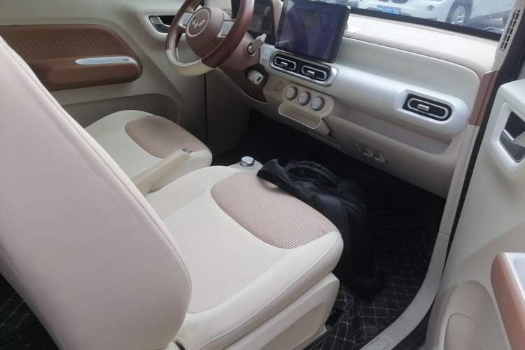 Used Wuling Hongguang MINIEV 2024 3rd Generation 215km Youth Edition Right Front Seat